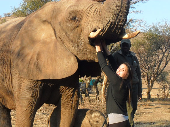 Kelly-Anne Blanchard - elephant interaction experience